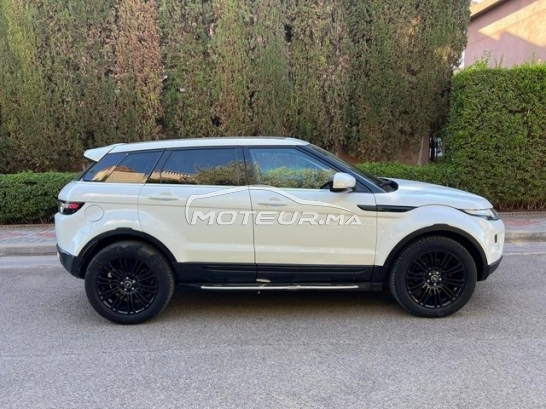 LAND-ROVER Range rover evoque occasion 1895918