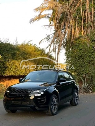 LAND-ROVER Range rover evoque R-dynamic occasion 1933707