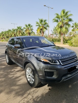 LAND-ROVER Range rover evoque occasion 1298792