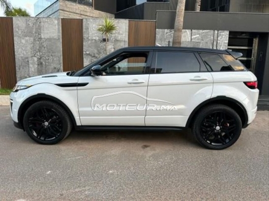 LAND-ROVER Range rover evoque occasion 1903144