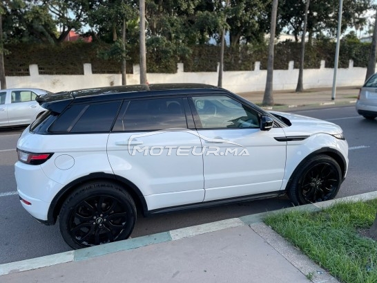 LAND-ROVER Range rover evoque Sd4 occasion 1750002