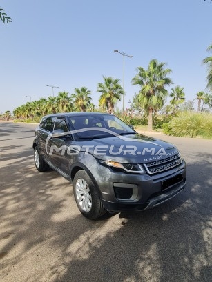 LAND-ROVER Range rover evoque occasion 1298794