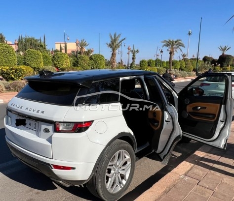 LAND-ROVER Range rover evoque occasion 1371716