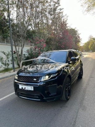 LAND-ROVER Range rover evoque occasion 1897191