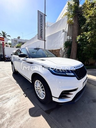 LAND-ROVER Range rover velar occasion 1728724