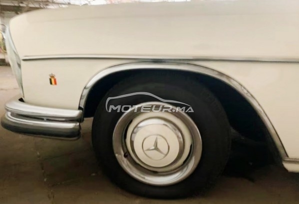 Mercedes-Benz 250 occasion Essence Modèle 1967