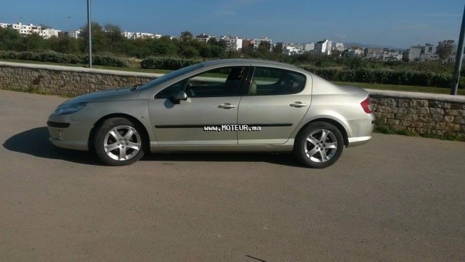 PEUGEOT 407 2.0 occasion 92734