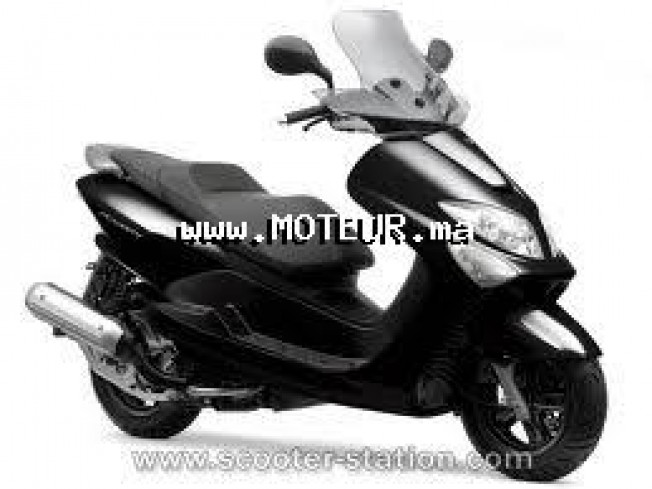 YAMAHA Majesty 125 occasion  221434