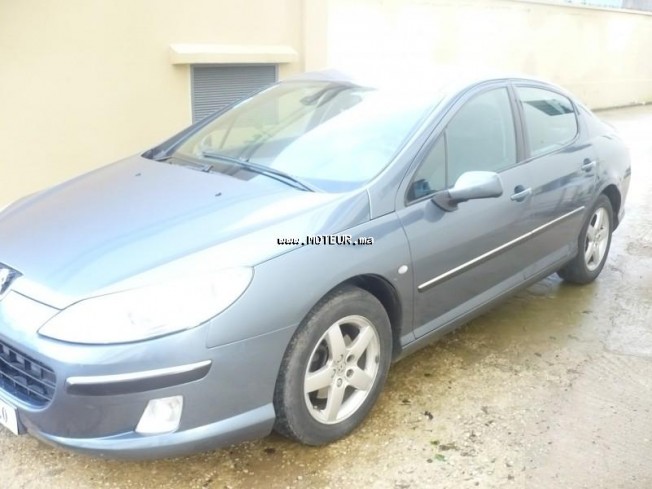 PEUGEOT 407 1.9 occasion 103123