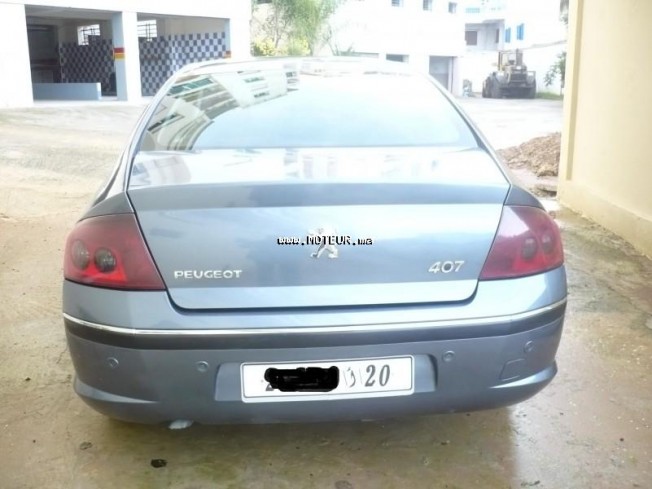 PEUGEOT 407 1.9 occasion 103122