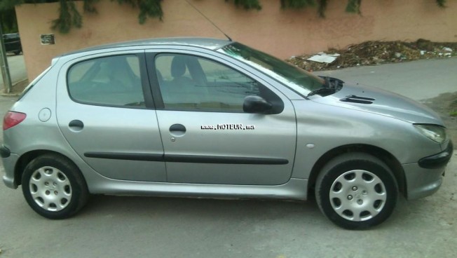 PEUGEOT 206 occasion 48350