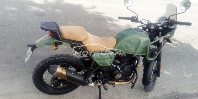 ROYAL-ENFIELD Himalayan occasion  1910747