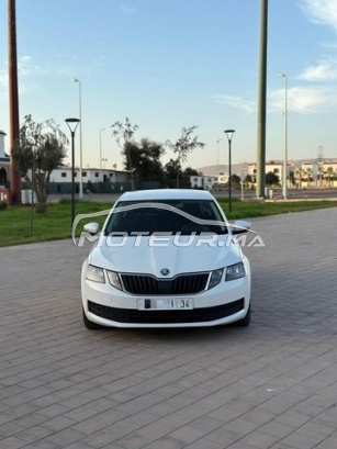 SKODA Octavia مستعملة