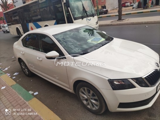 SKODA Octavia occasion 1246270