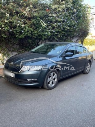 SKODA Octavia مستعملة