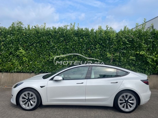 TESLA Model 3 Standard range plus occasion