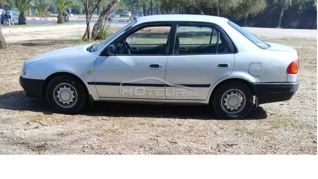 TOYOTA Corolla occasion 404002