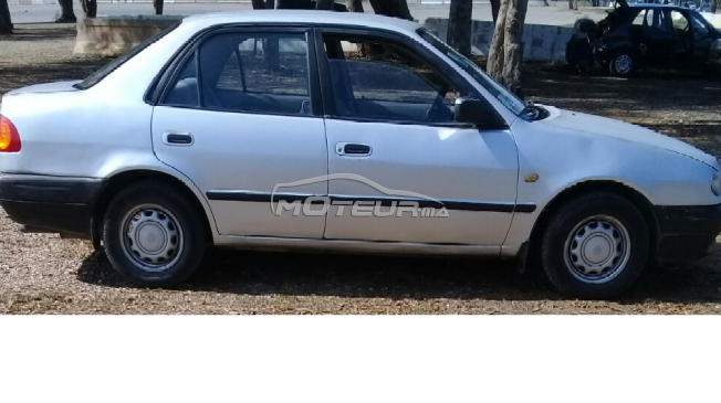 TOYOTA Corolla occasion 404001