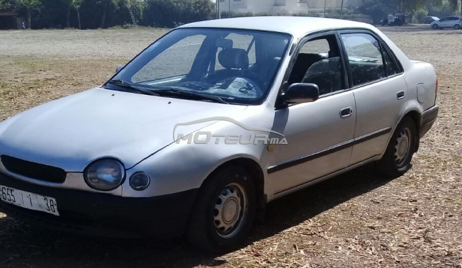 TOYOTA Corolla occasion 403999