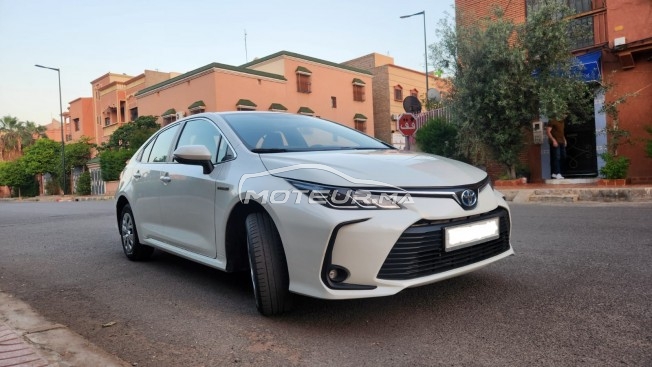 شراء السيارات المستعملة TOYOTA Corolla Hybride في المغرب - 451212