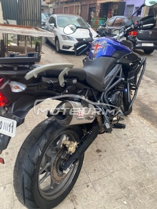 تريومف تيجير 800 cc abs مستعملة 1449661