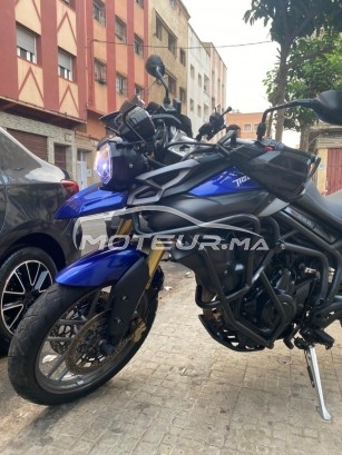 تريومف تيجير 800 cc abs مستعملة 1449663