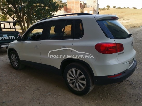 VOLKSWAGEN Tiguan occasion 1438442