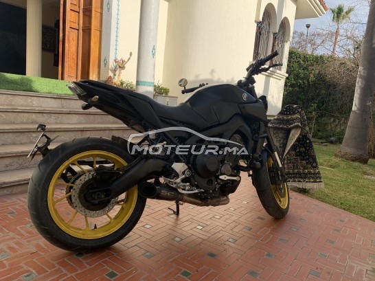 YAMAHA Mt-09 occasion  1337854