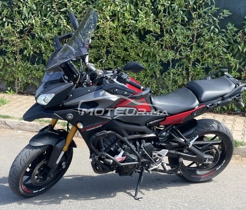 YAMAHA Tracer 9 Tracer 900 مستعملة