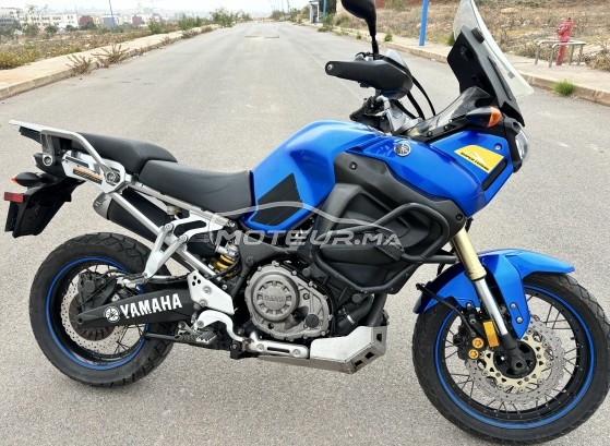 YAMAHA Xtz Super tenere occasion  1881104