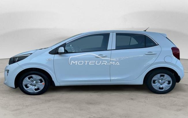 KIA. Picanto