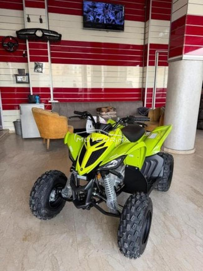 Quad raptor 110
