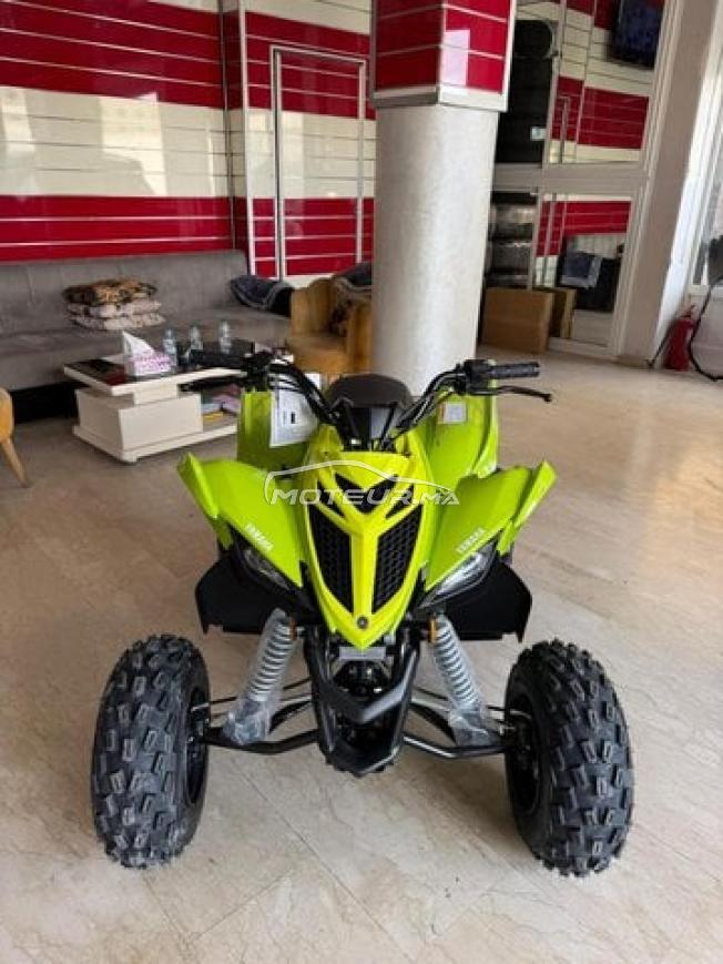Quad raptor 110