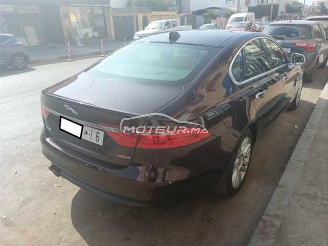 KIFAL - JAGUAR XF