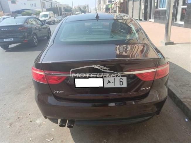KIFAL - JAGUAR XF