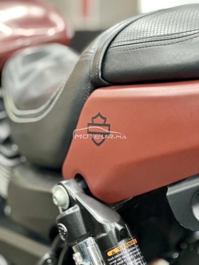 Harley-Davidson Street Rod 750 - DERKAOUI MOTO