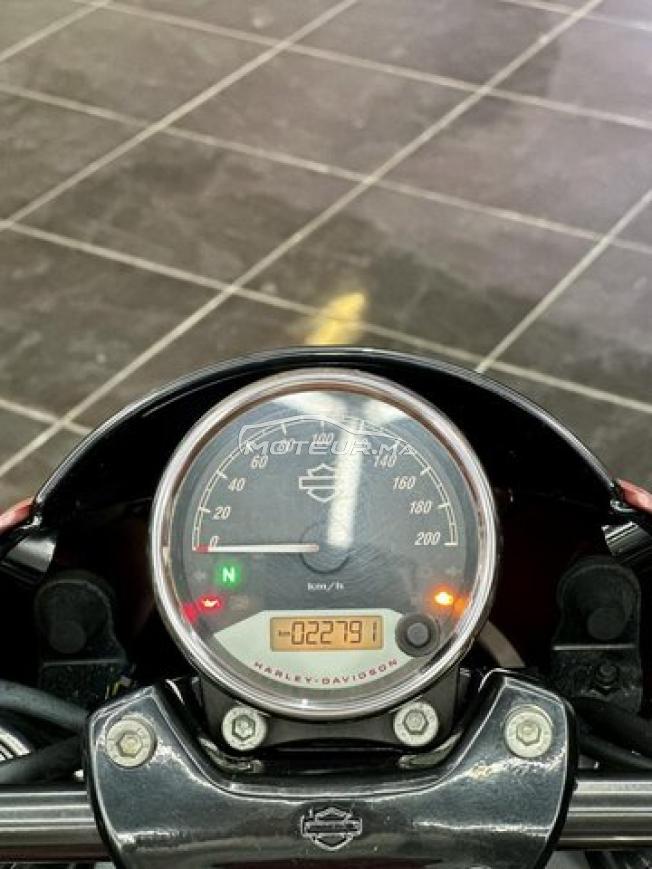 Harley-Davidson Street Rod 750 - DERKAOUI MOTO