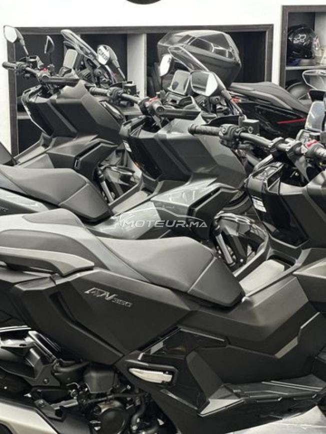 HONDA ADV 350 Iridium Grey 2026 PACK PREMIUM