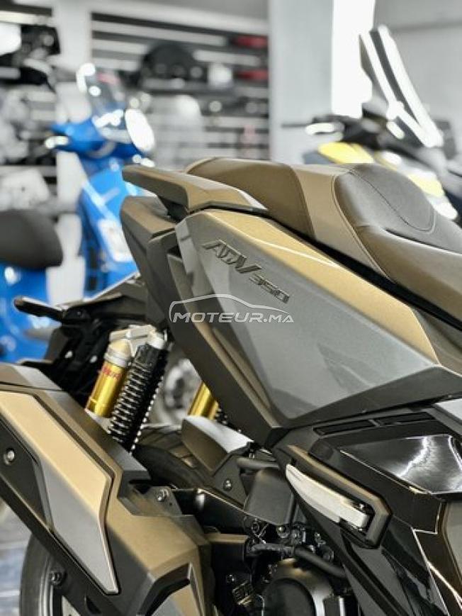 HONDA ADV 350 Iridium Grey 2026 PACK PREMIUM