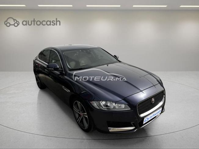 1884 - Jaguar XF 2018 expertisée avec financement