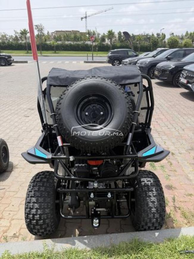Buggy LPR 200