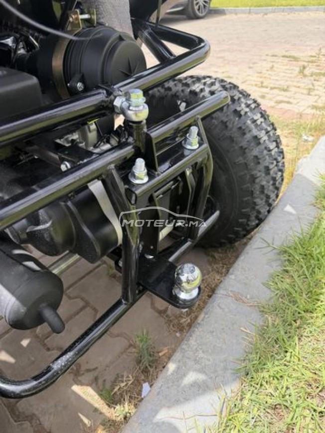 Buggy LPR 200