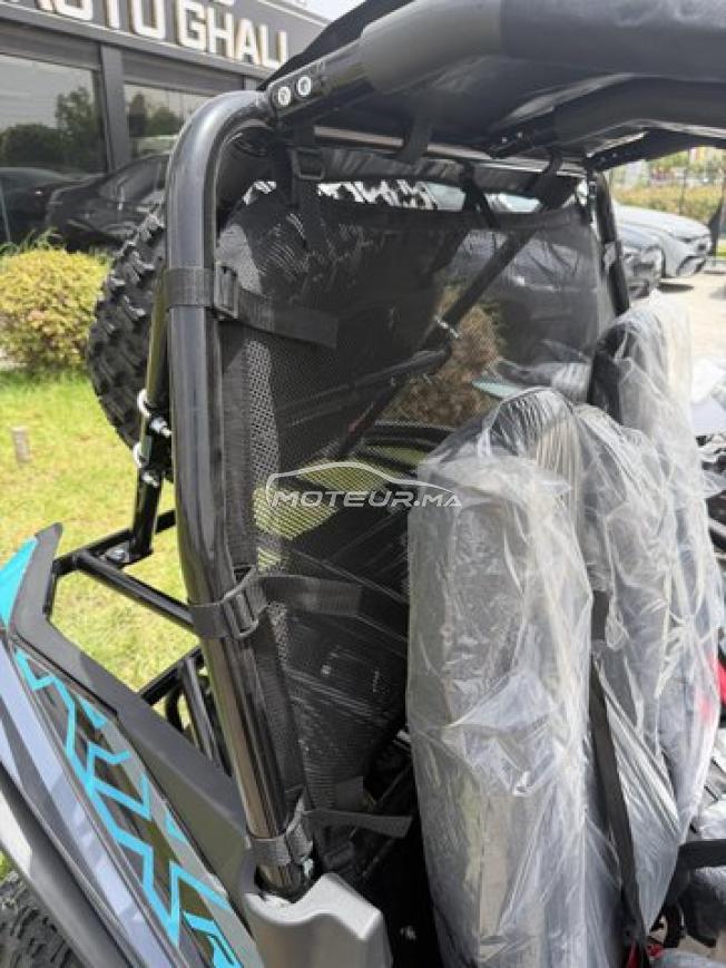 Buggy LPR 200