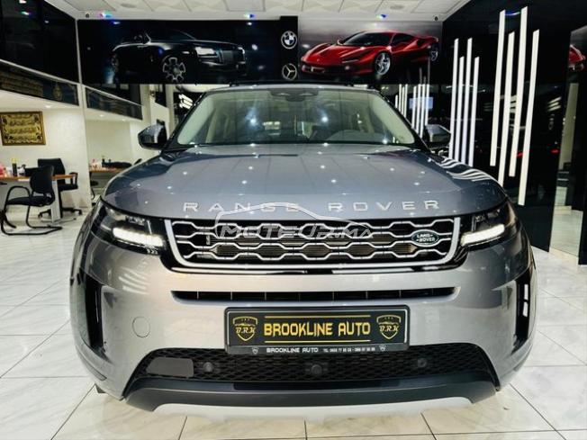 Bébé Velar dynamique essence