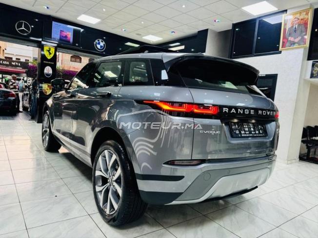 Bébé Velar dynamique essence