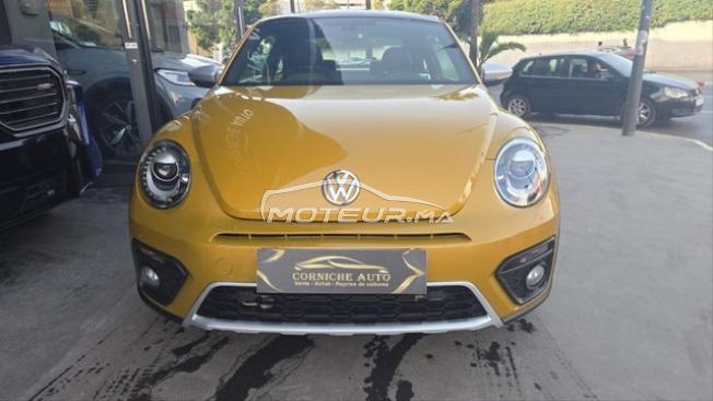 New beetle dune