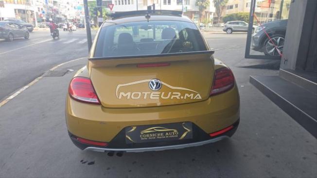 New beetle dune