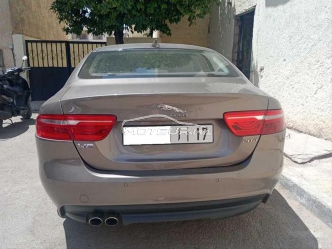 KIFAL - JAGUAR XE