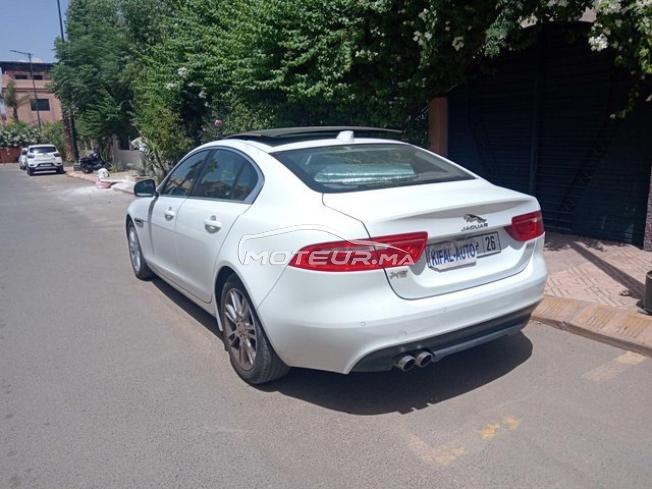 KIFAL - JAGUAR XE