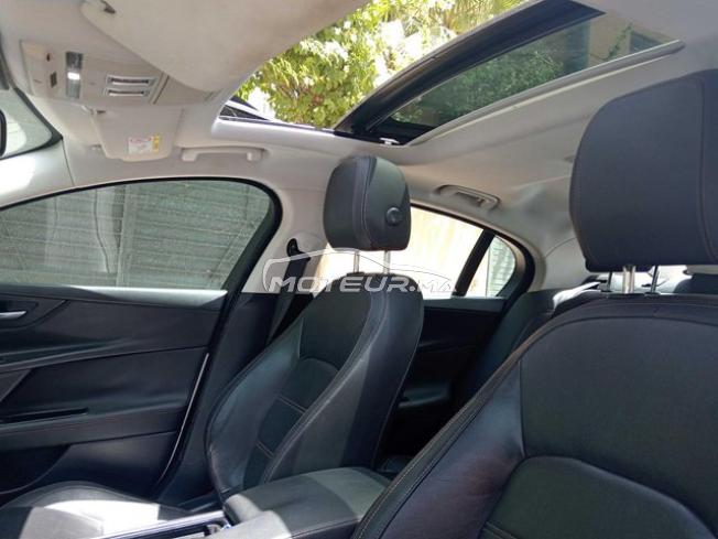 KIFAL - JAGUAR XE